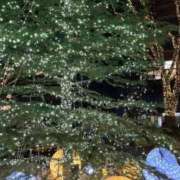 ヒメ日記 2024/12/17 01:05 投稿 みさと 横浜おかあさん