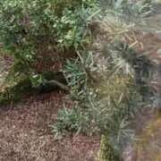 ヒメ日記 2025/02/01 17:55 投稿 みさと 横浜おかあさん