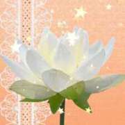 ヒメ日記 2026/06/07 20:38 投稿 椿いずみ LIP×LIP滋賀