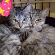 ヒメ日記 2026/03/19 12:21 投稿 ゆりえ 熟女の風俗最終章 宇都宮店