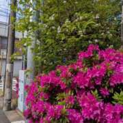 ゆりえ おはようございます😊 熟女の風俗最終章 宇都宮店