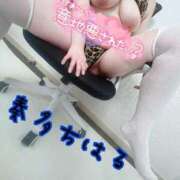 ヒメ日記 2025/02/20 21:35 投稿 奏多 BBW札幌店