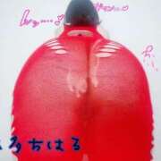 ヒメ日記 2025/07/28 21:25 投稿 奏多 BBW札幌店