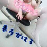 ヒメ日記 2025/07/30 18:15 投稿 奏多 BBW札幌店