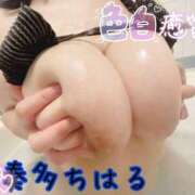 ヒメ日記 2025/12/10 18:05 投稿 奏多 BBW札幌店