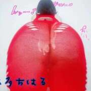 奏多 出勤！ BBW札幌店