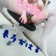 ヒメ日記 2025/12/11 16:55 投稿 奏多 BBW札幌店