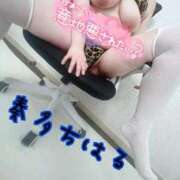 ヒメ日記 2026/03/13 12:06 投稿 奏多 BBW札幌店