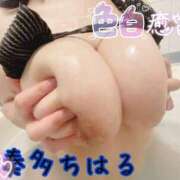 ヒメ日記 2026/04/16 18:05 投稿 奏多 BBW札幌店