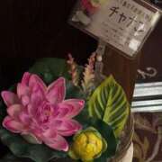 ヒメ日記 2025/06/23 22:23 投稿 倉科ちさと ニューハーフヘルス シーメールレジェンド 横浜店