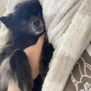 ヒメ日記 2024/12/28 12:08 投稿 伊勢谷　べに スッキリ商事