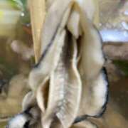 ヒメ日記 2025/02/04 16:53 投稿 伊勢谷　べに スッキリ商事