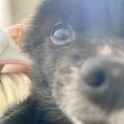 ヒメ日記 2025/05/17 12:14 投稿 伊勢谷　べに スッキリ商事