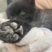 ヒメ日記 2025/05/30 11:01 投稿 伊勢谷　べに スッキリ商事