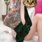 ヒメ日記 2025/06/07 22:12 投稿 伊勢谷　べに スッキリ商事