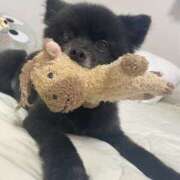 ヒメ日記 2025/06/30 14:50 投稿 伊勢谷　べに スッキリ商事