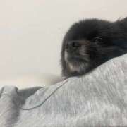 ヒメ日記 2025/09/15 20:08 投稿 伊勢谷　べに スッキリ商事