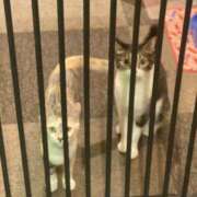 ヒメ日記 2025/10/28 12:27 投稿 伊勢谷　べに スッキリ商事