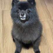 ヒメ日記 2025/11/17 15:53 投稿 伊勢谷　べに スッキリ商事