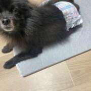 ヒメ日記 2025/12/07 17:19 投稿 伊勢谷　べに スッキリ商事