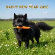 ヒメ日記 2026/01/03 12:56 投稿 伊勢谷　べに スッキリ商事