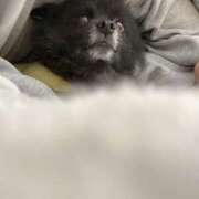 ヒメ日記 2026/01/22 23:00 投稿 伊勢谷　べに スッキリ商事