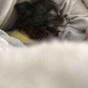 ヒメ日記 2026/02/06 22:57 投稿 伊勢谷　べに スッキリ商事