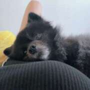 ヒメ日記 2026/02/24 20:34 投稿 伊勢谷　べに スッキリ商事