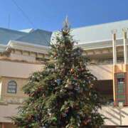 ヒメ日記 2025/12/08 08:31 投稿 森田あや 美魔女エステ