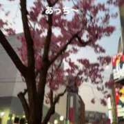 ヒメ日記 2025/03/26 08:41 投稿 みよ 新感覚恋活ソープもしも彼女が○○だったら・・・福岡中州本店