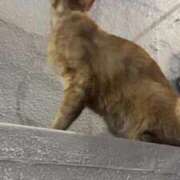 ヒメ日記 2025/08/22 16:25 投稿 みよ 新感覚恋活ソープもしも彼女が○○だったら・・・福岡中州本店