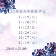 ヒメ日記 2023/12/12 11:24 投稿 みすず ハピネス東京