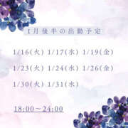 ヒメ日記 2024/01/12 14:19 投稿 みすず ハピネス東京