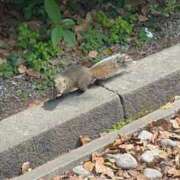 ヒメ日記 2025/04/22 17:22 投稿 滝川 BBW横浜店