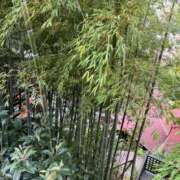 ヒメ日記 2025/12/17 11:36 投稿 滝川 BBW横浜店