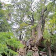 ヒメ日記 2026/08/12 16:29 投稿 滝川 BBW横浜店