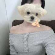 ヒメ日記 2025/08/25 17:11 投稿 つばさ S級しろうと娘