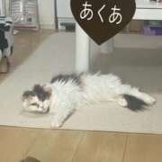 ヒメ日記 2025/09/15 18:28 投稿 Akua（あくあ） AMATERAS(アマテラス)(福山)