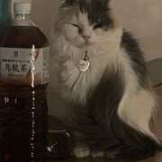 ヒメ日記 2025/10/17 20:44 投稿 Akua（あくあ） AMATERAS(アマテラス)(福山)