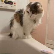 ヒメ日記 2025/11/08 17:38 投稿 Akua（あくあ） AMATERAS(アマテラス)(福山)