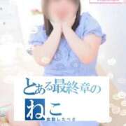 ヒメ日記 2025/04/13 19:30 投稿 ねこ 熟女の風俗最終章　越谷店