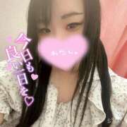 ヒメ日記 2025/04/13 12:03 投稿 ねこ 熟女の風俗最終章 西川口店