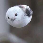 ヒメ日記 2025/06/15 23:04 投稿 ねこ 熟女の風俗最終章 西川口店