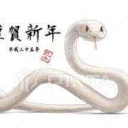 ヒメ日記 2025/01/06 21:00 投稿 月島雅 こあくまな熟女たち三河店（KOAKUMAグループ）