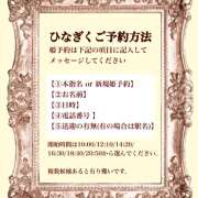 ヒメ日記 2024/08/26 12:43 投稿 ひなぎく Versailles