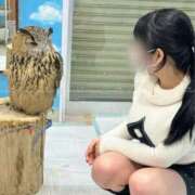 ヒメ日記 2025/09/27 21:21 投稿 ひなぎく Versailles