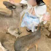 ヒメ日記 2025/10/25 00:41 投稿 ひなぎく Versailles