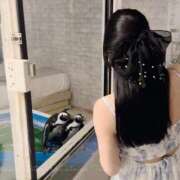 ひなぎく 【返信中💌】 Versailles