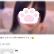 ヒメ日記 2026/01/14 08:01 投稿 ひなぎく Versailles