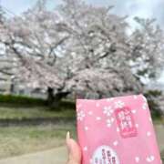 ヒメ日記 2025/04/06 13:19 投稿 月奈（つきな） フュージョンスパ